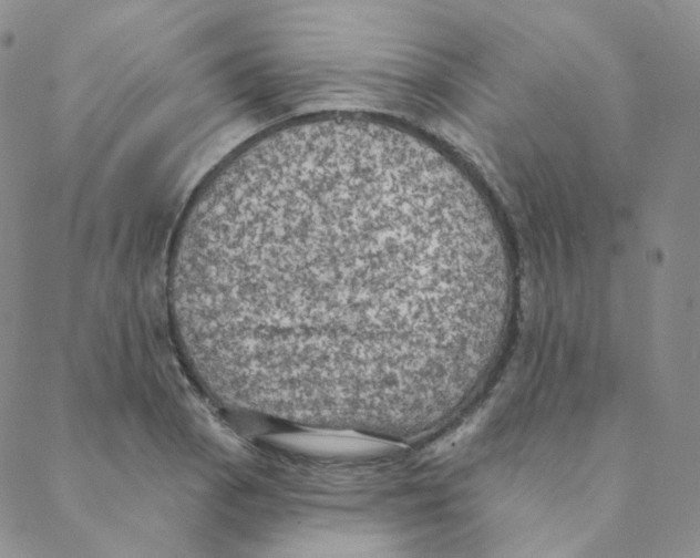 X0000088391129200706191326