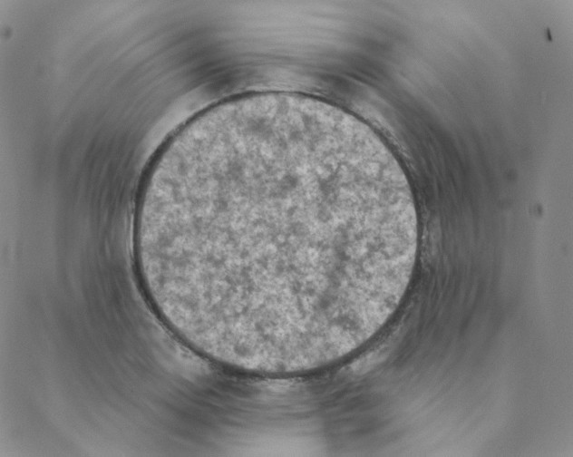 X0000088391130200706191326