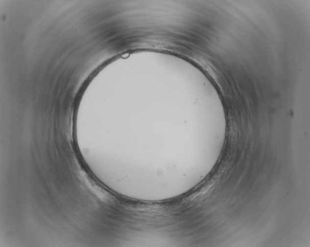 X0000088391131200706191326