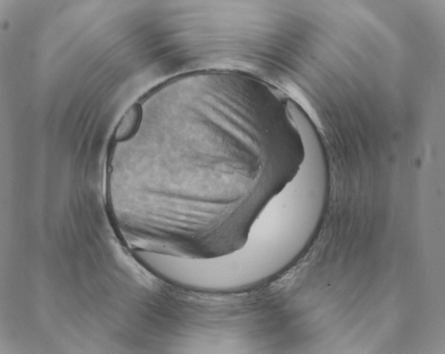 X0000088391132200706191326