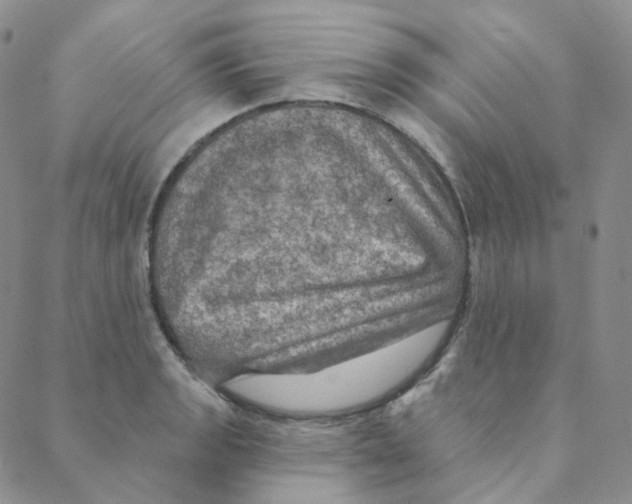 X0000088391133200706191326