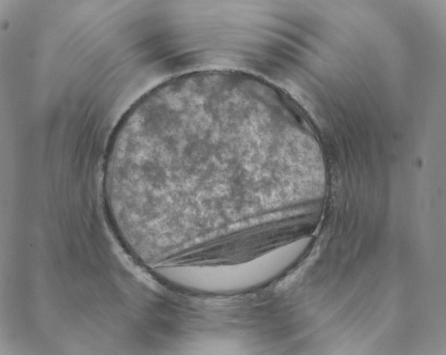 X0000088391134200706191326