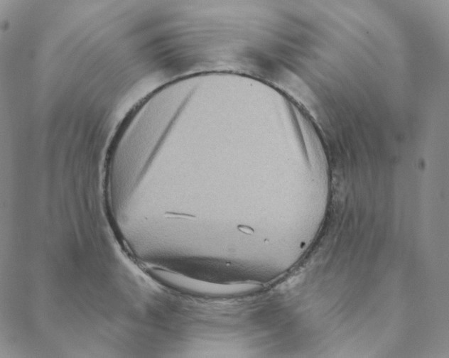 X0000088391135200706191326