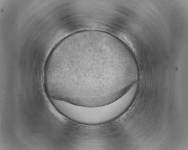 X0000088391136200706191326