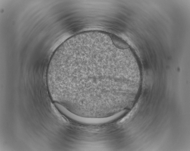 X0000088391137200706191326