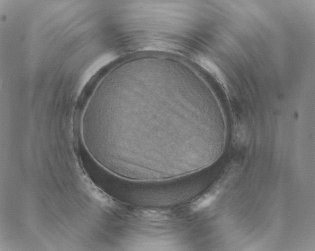 X0000088391138200706191326