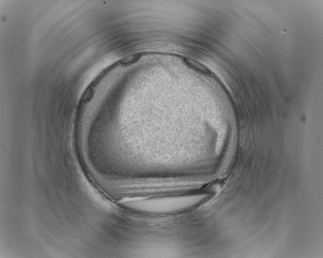 X0000088391139200706191326