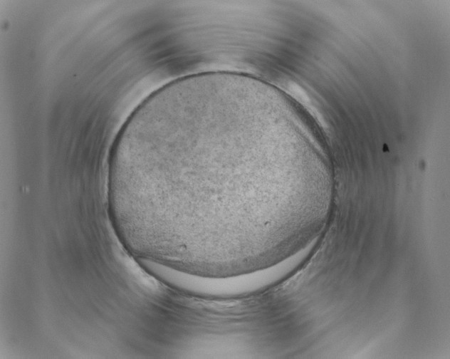 X0000088391140200706191326