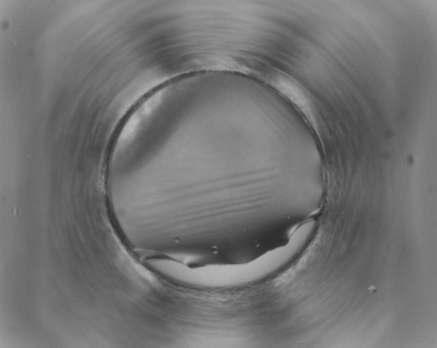 X0000088391141200706191326