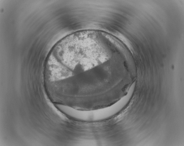 X0000088391142200706191326