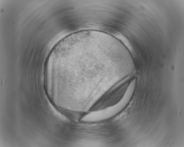 X0000088391143200706191326