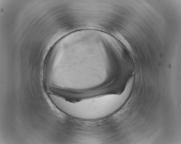 X0000088391144200706191326