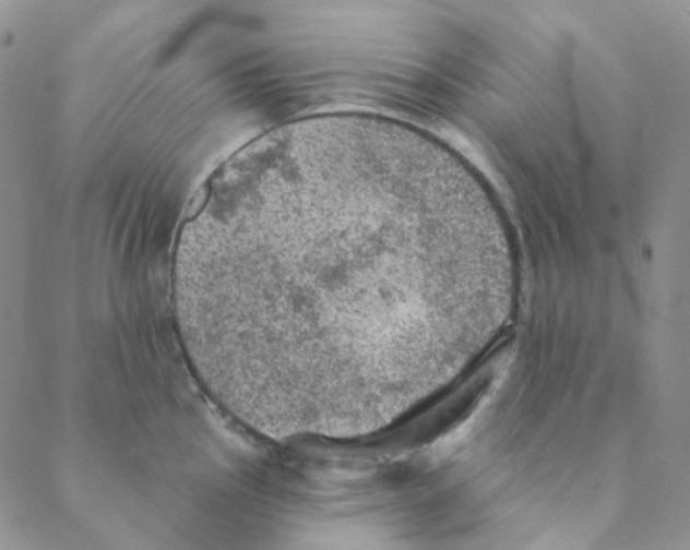 X0000088391145200706191326