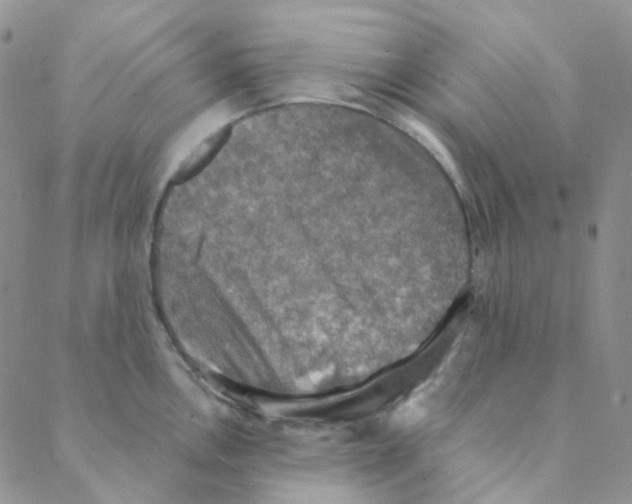 X0000088391146200706191326