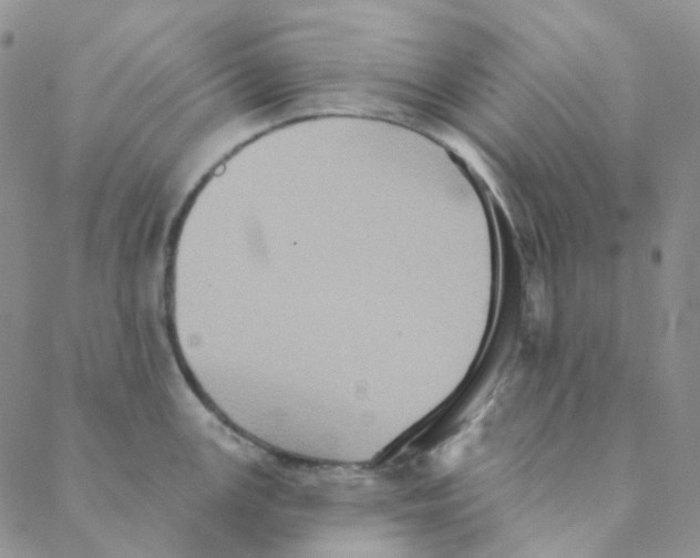 X0000088391147200706191326