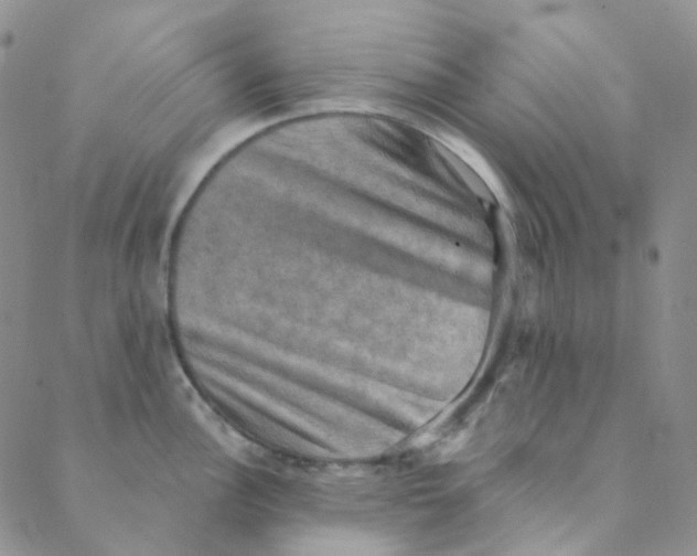 X0000088391148200706191326