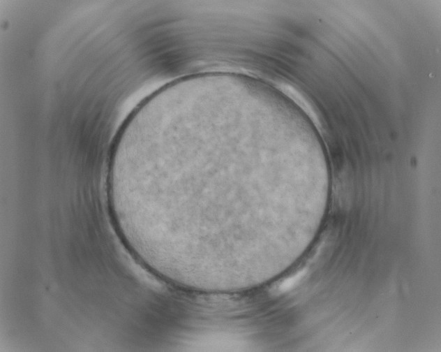 X0000088391149200706191326