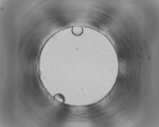 X0000088391150200706191326