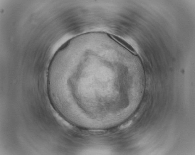 X0000088391151200706191326