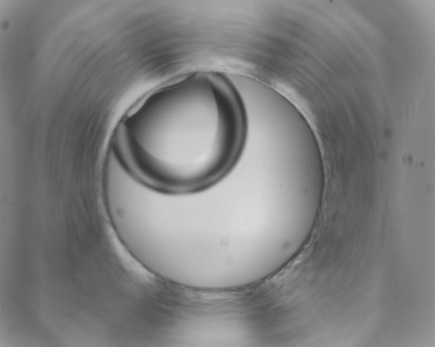 X0000088391152200706191326