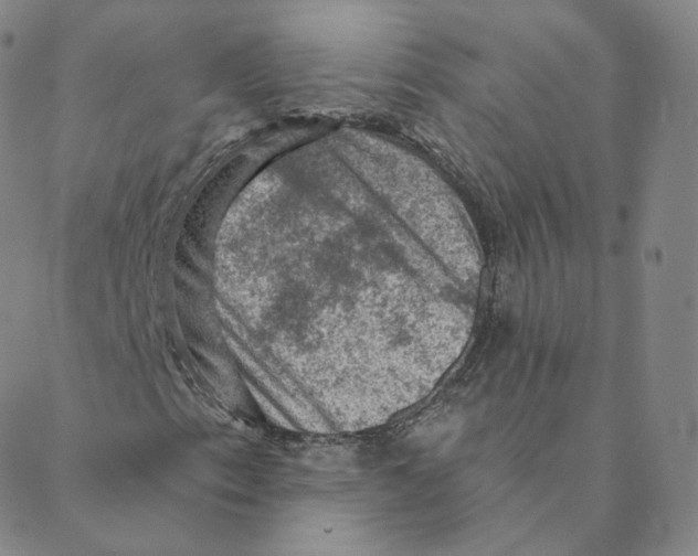 X0000088391153200706191326