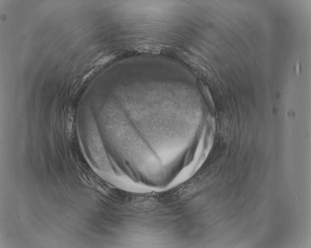 X0000088391154200706191325