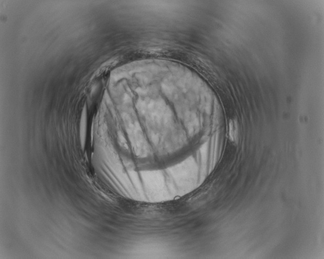 X0000088391155200706191325