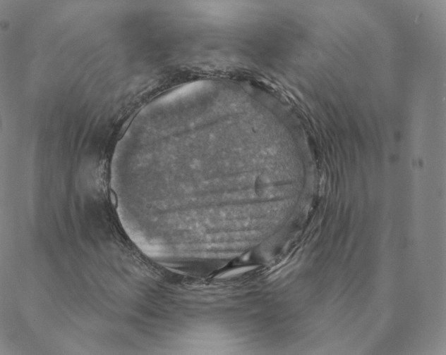 X0000088391156200706191325