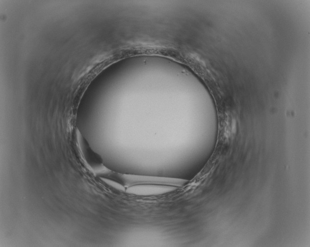 X0000088391157200706191325