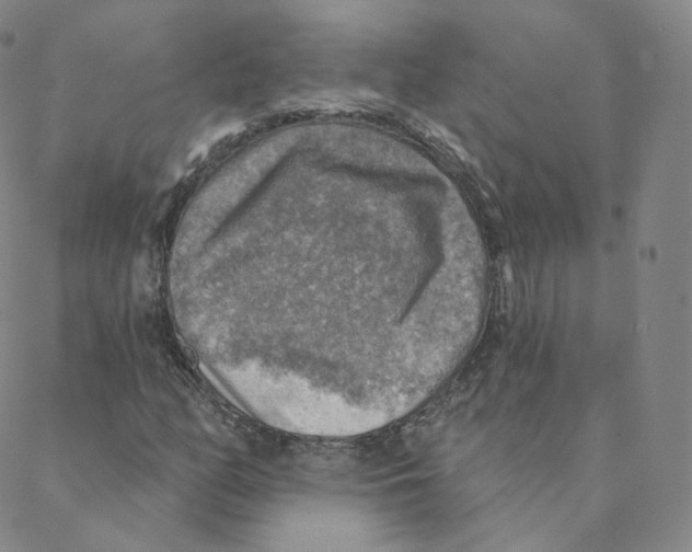 X0000088391158200706191325