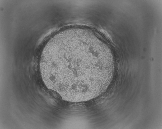 X0000088391159200706191325