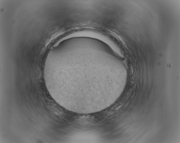 X0000088391160200706191325