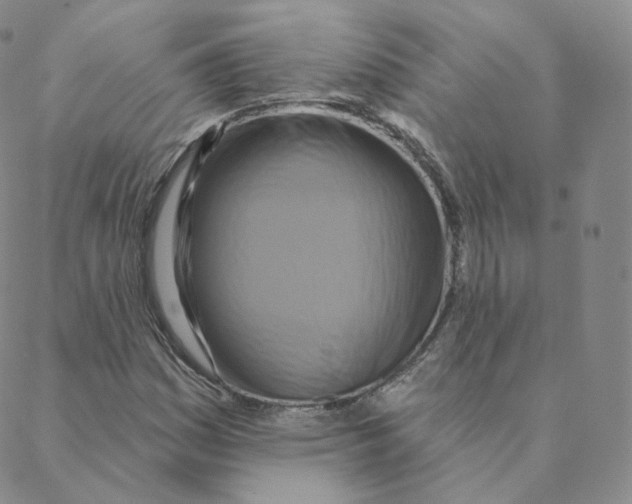 X0000088391161200706191325