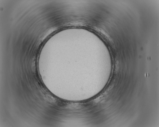 X0000088391162200706191325