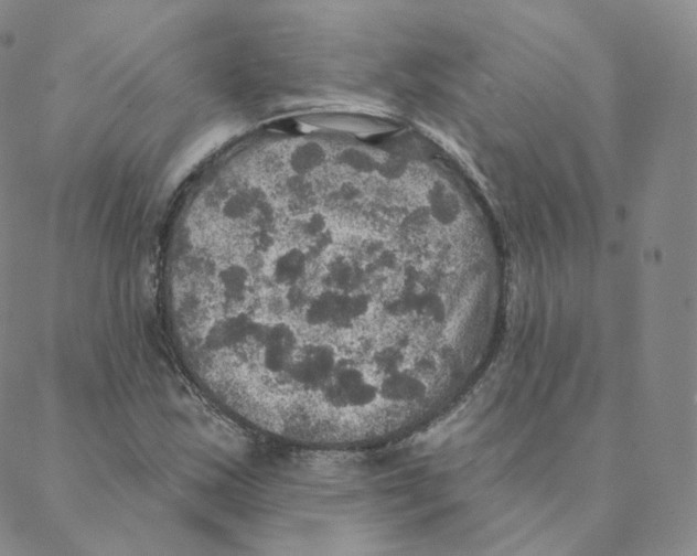 X0000088391163200706191325