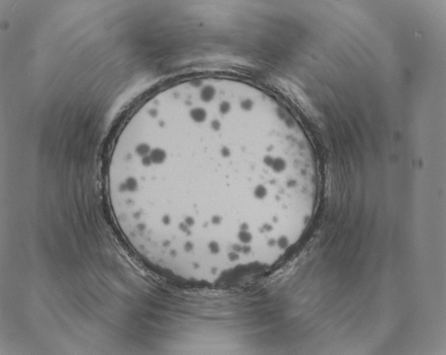 X0000088391164200706191325