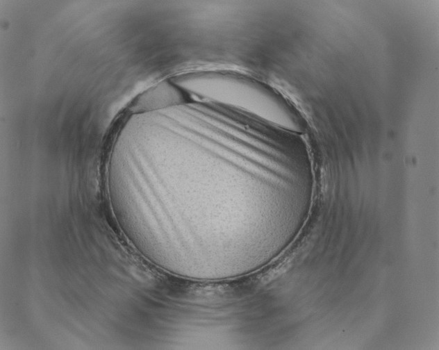 X0000088391165200706191325