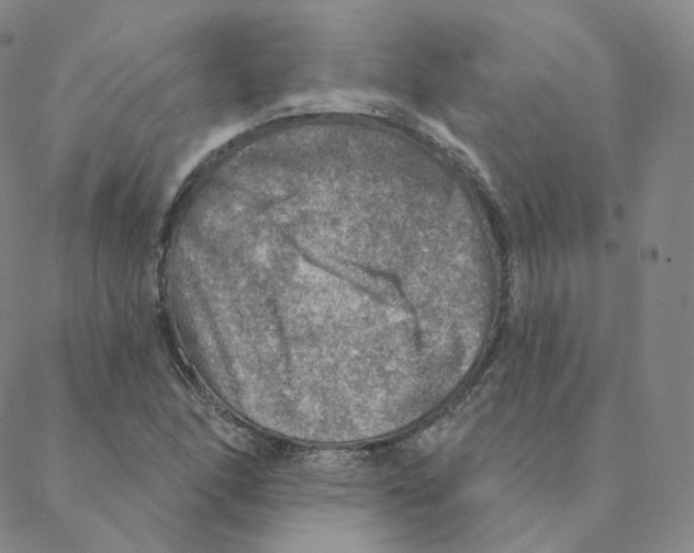 X0000088391166200706191325