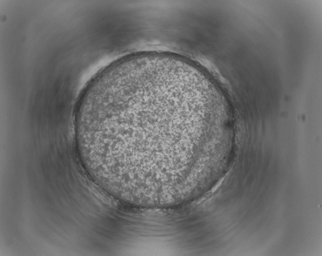 X0000088391167200706191325