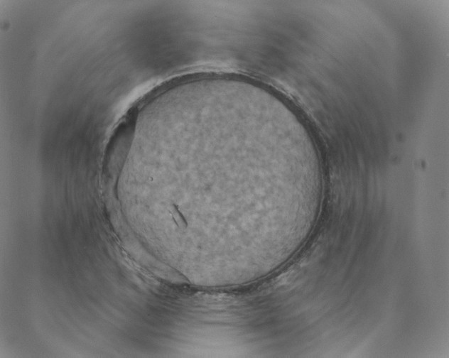 X0000088391168200706191325