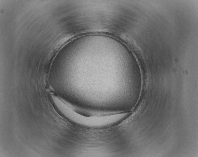 X0000088391169200706191325