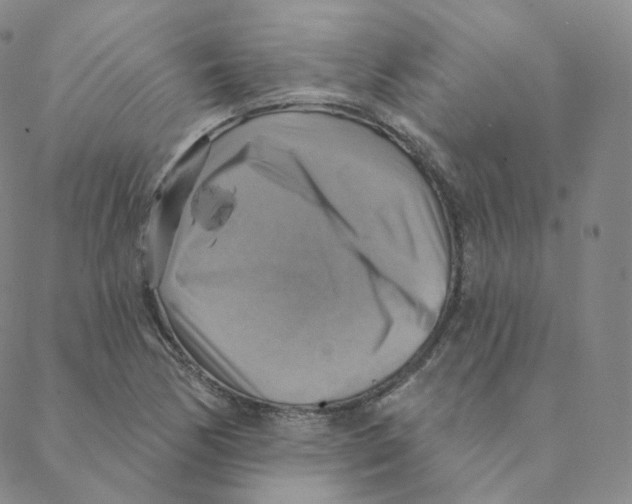 X0000088391170200706191325