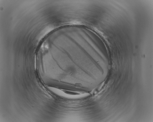 X0000088391171200706191325