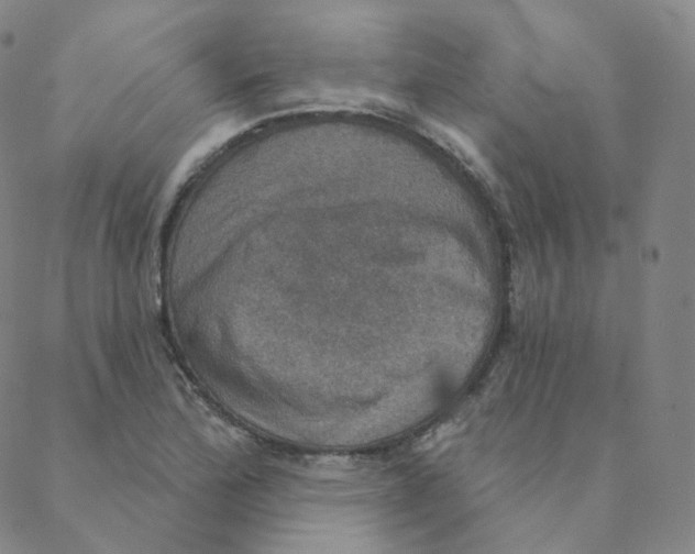 X0000088391172200706191325