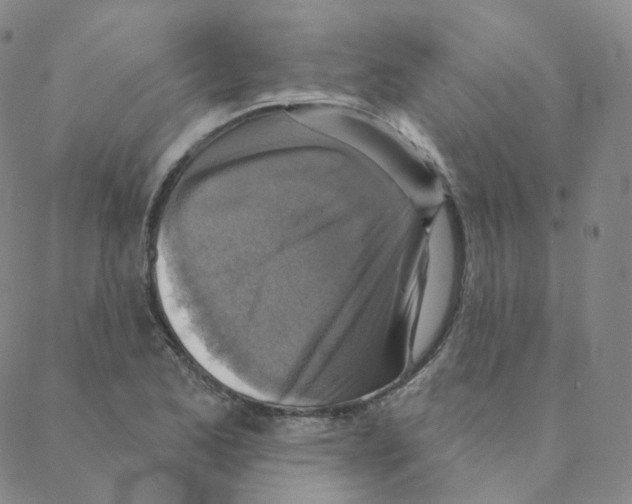 X0000088391173200706191325