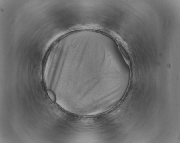 X0000088391174200706191325