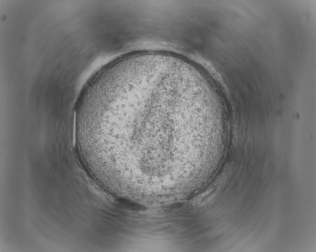 X0000088391175200706191325