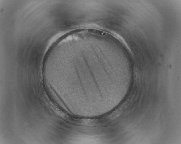 X0000088391176200706191325