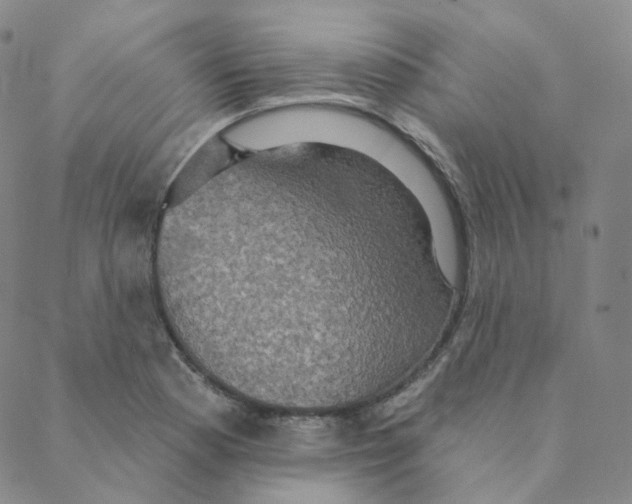 X0000088391177200706191325