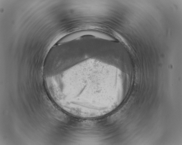 X0000088391178200706191325